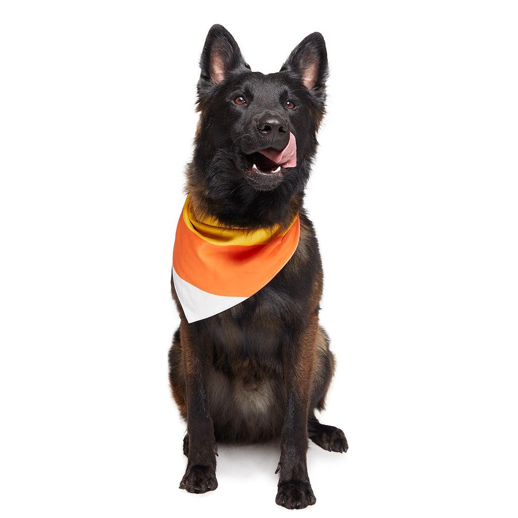 Candy Corn Dog Bandana