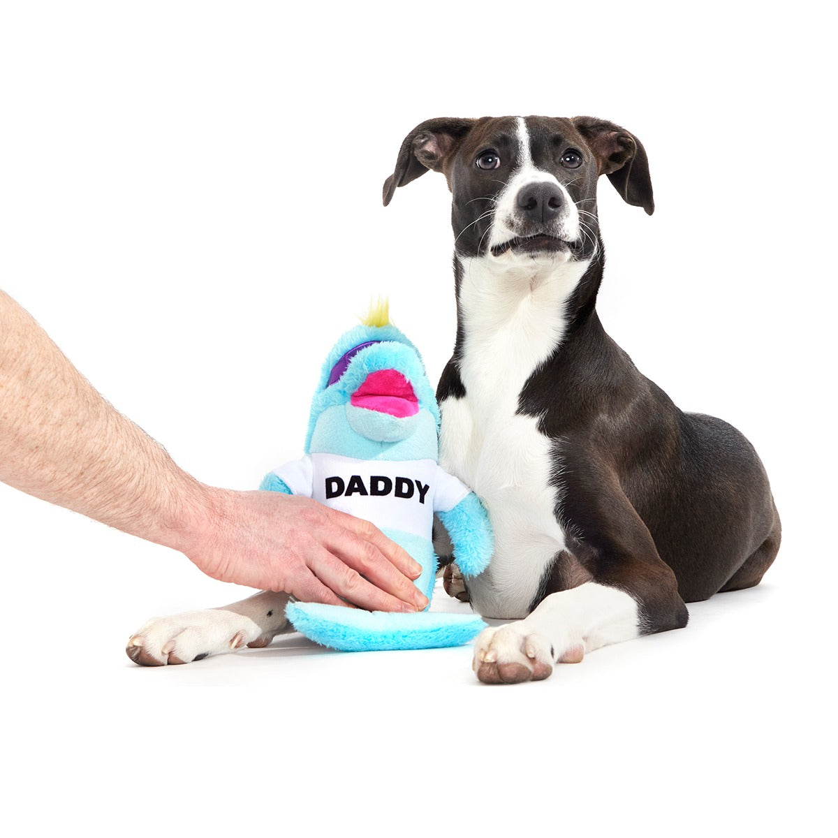 Daddy Dolphin Plush Tug Dog Toy