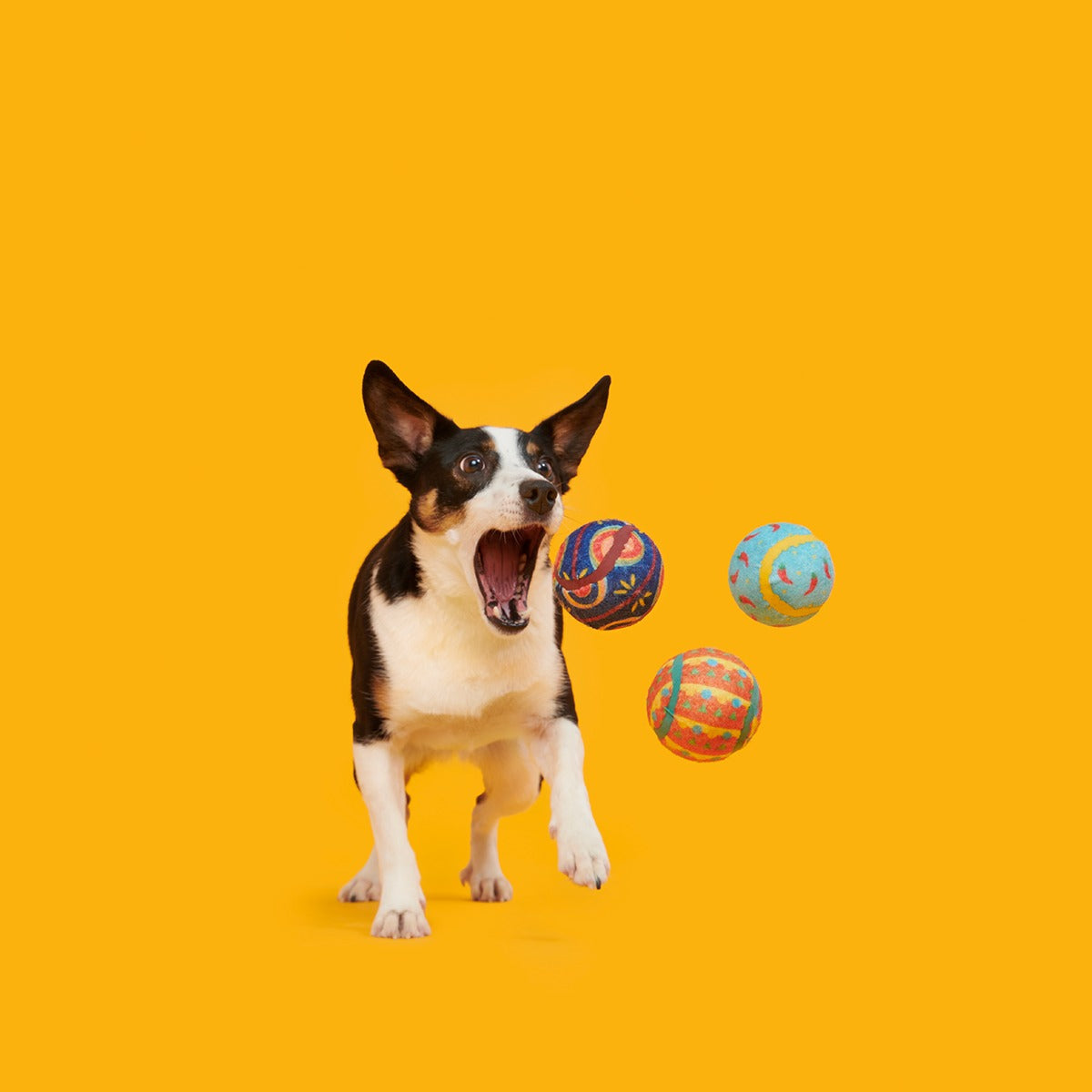 Fetch Mex Plush Multi-Part Fetch Dog Toy