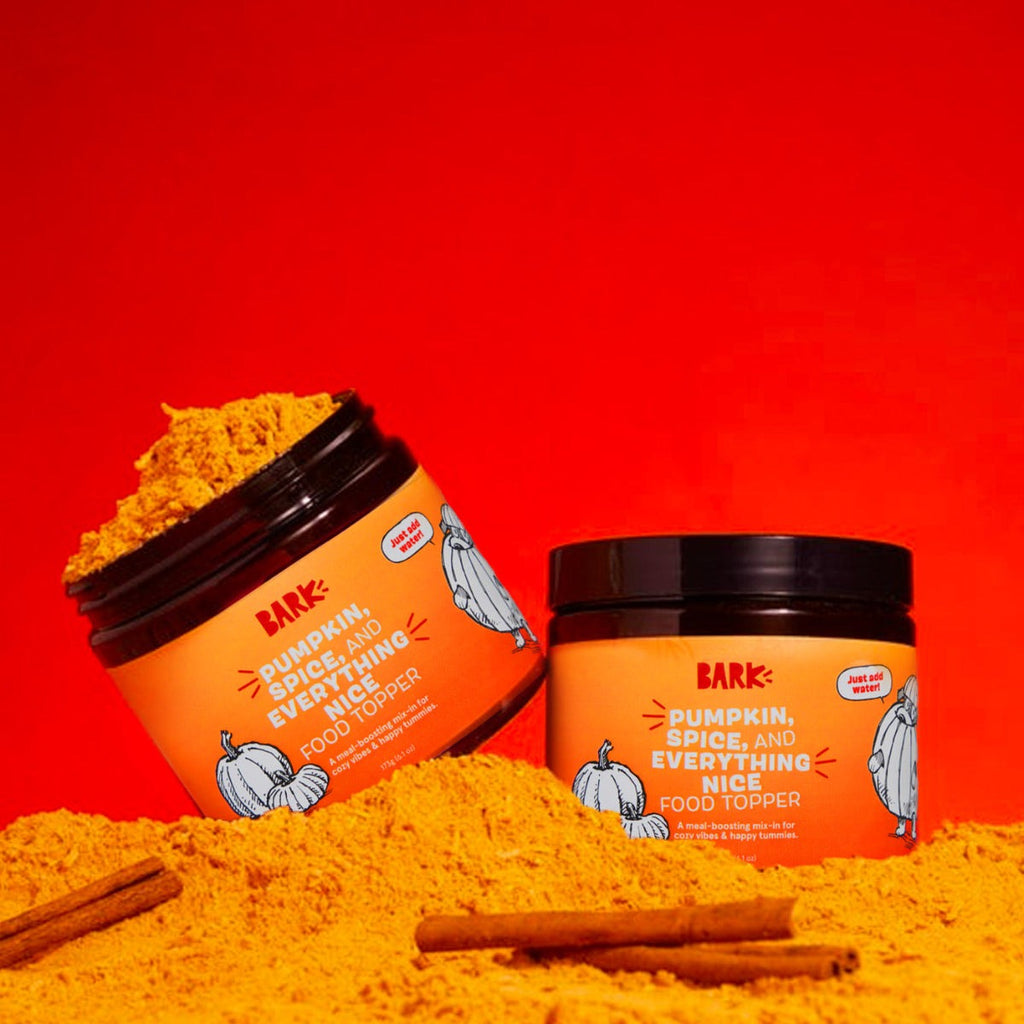 Pumpkin Spice, And Everything Nice Vegetarian Dog Food Meal Topper