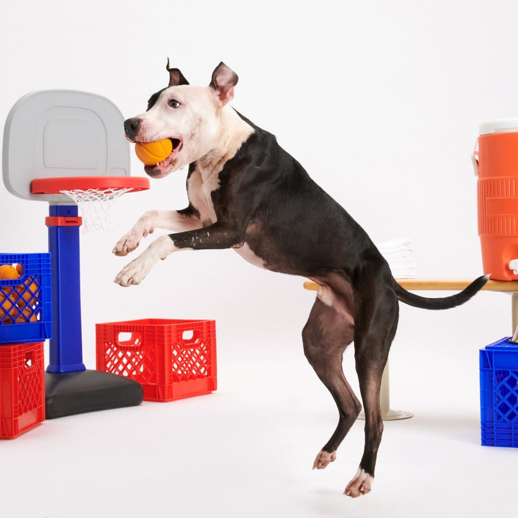 Free Throw Basketball Super Chewer Durable Fetch Dog Toy