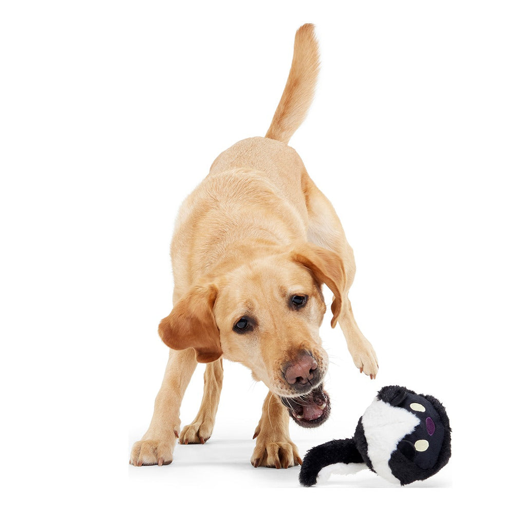 Hunky Skunky Super Chewer Durable 2-in-1 + Fetch Dog Toy