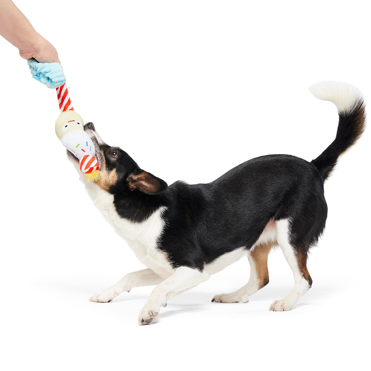 Wishful Tricia Plush Tug Dog Toy