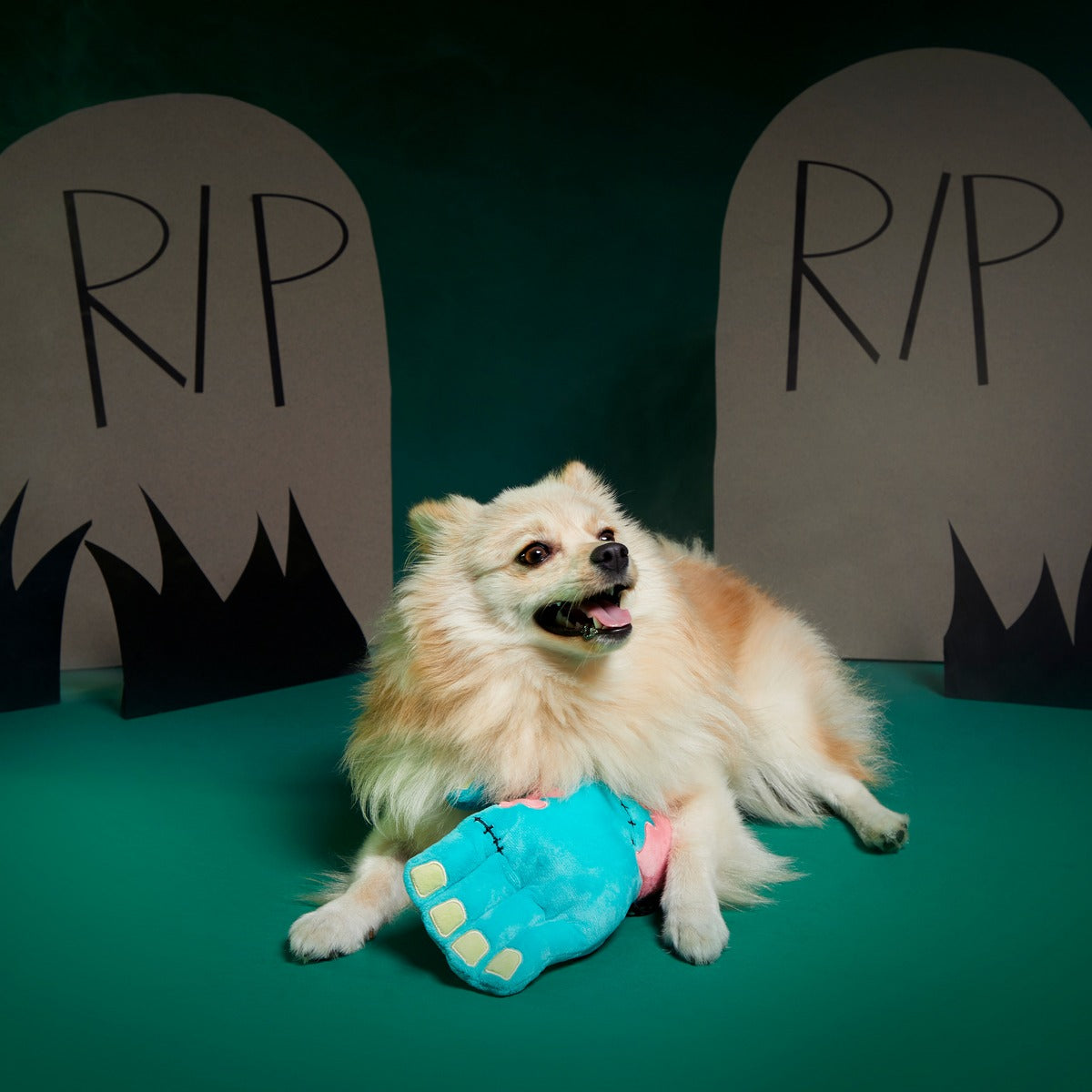 Die Five Plush Tug Dog Toy