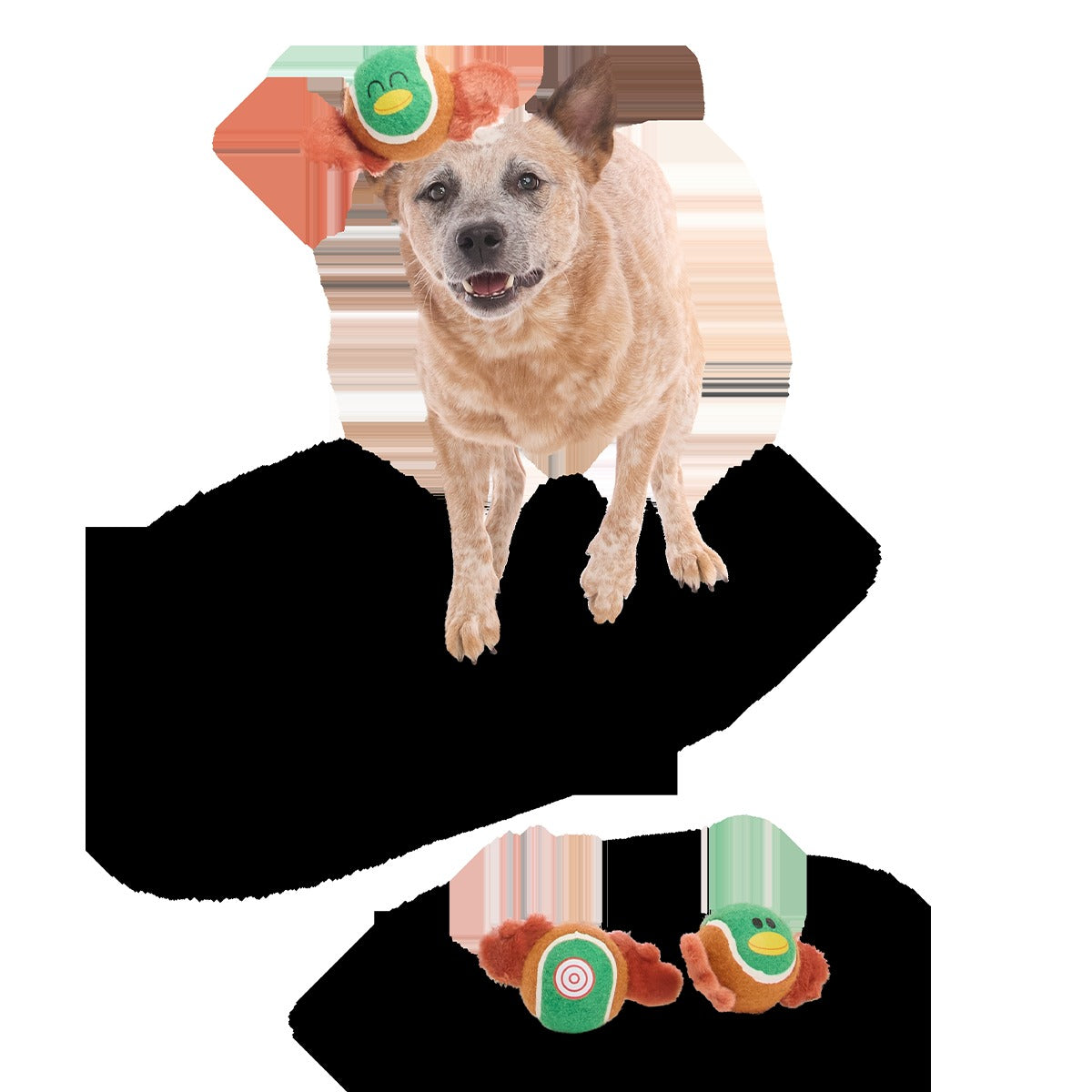 Tennis Ball Club, 3 Squeaky Monthly Tennis Ball Dog Toys