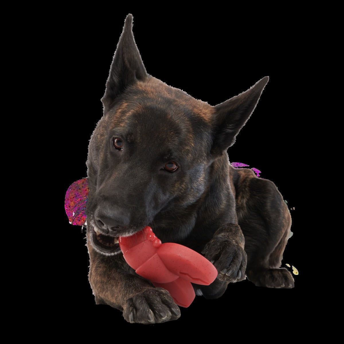 Gnawfish Super Chewer Durable Gnaw Dog Toy