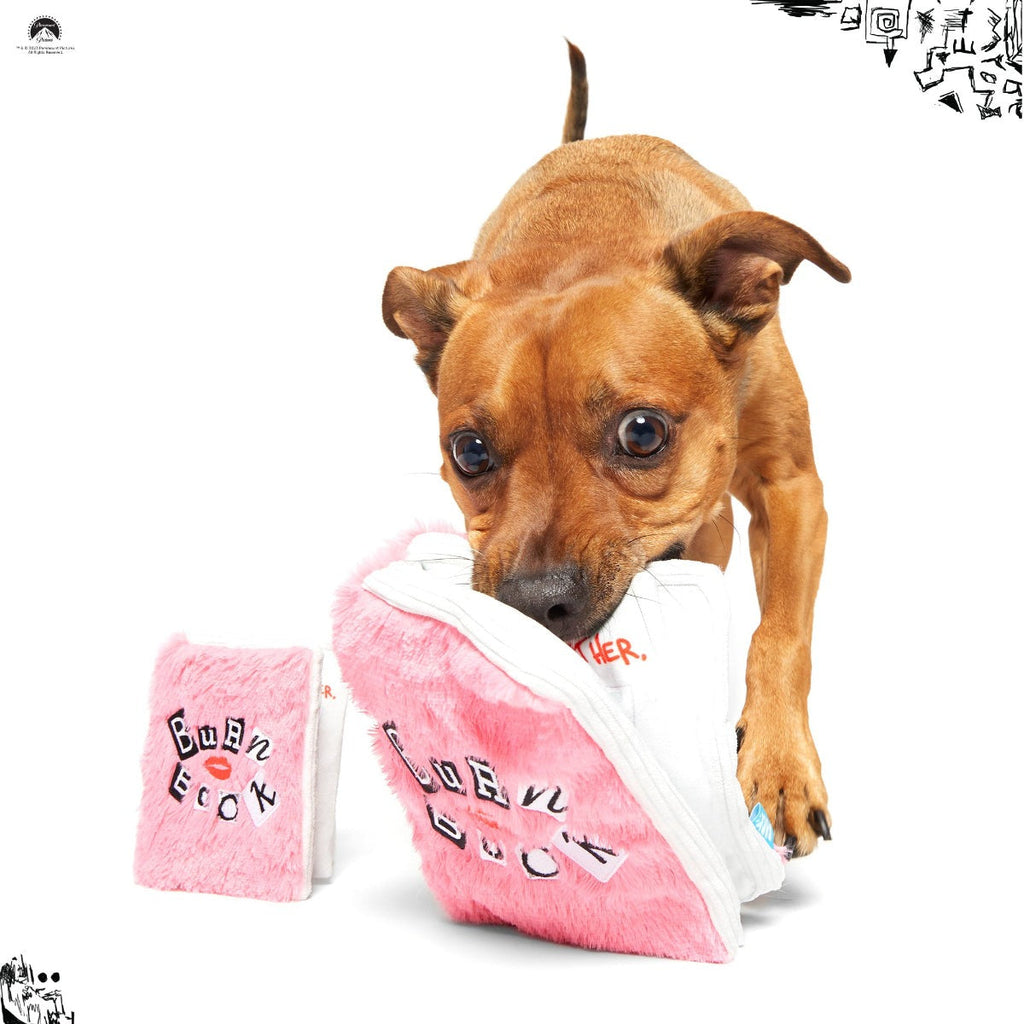 Burn Book Plush Tug + Enrichment Dog Toy