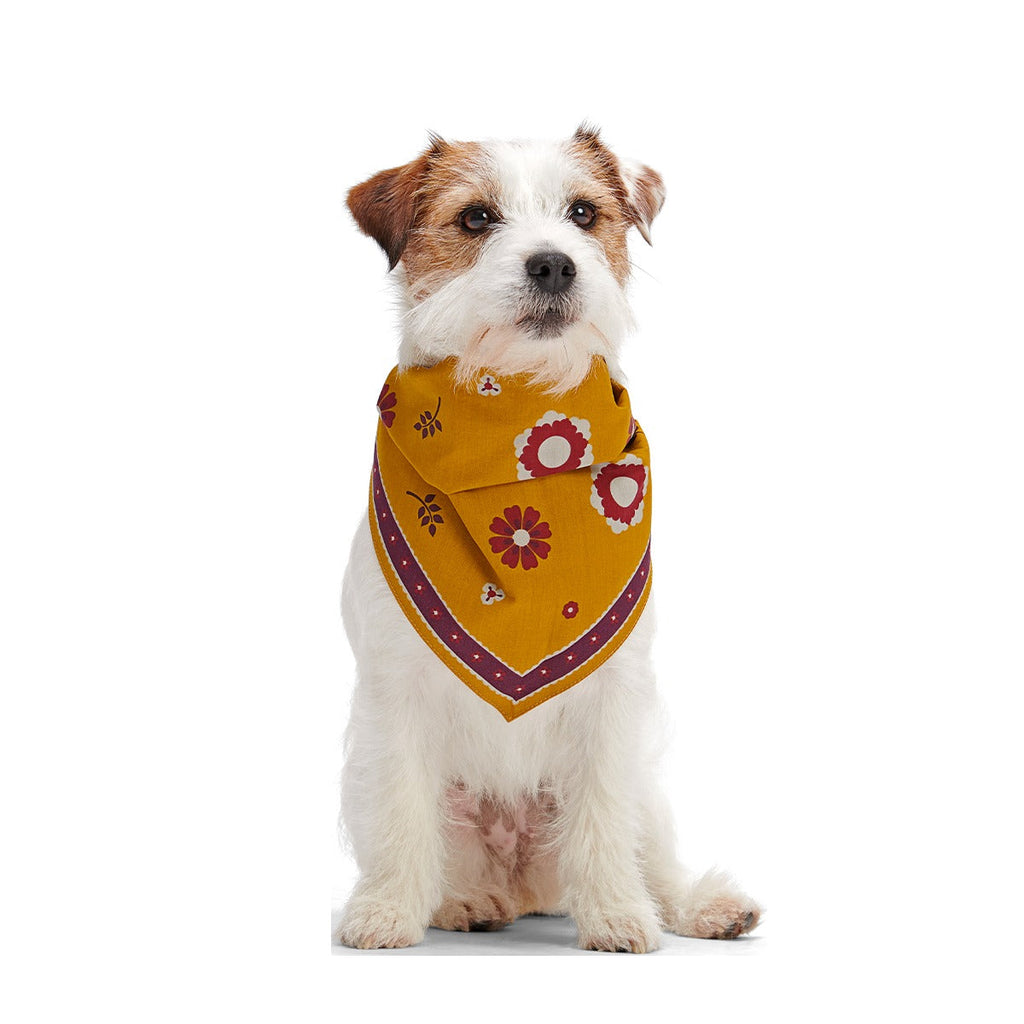Fall Reversible Dog Bandana