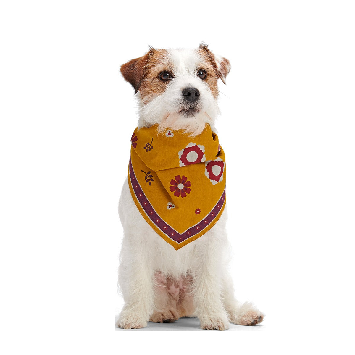 Fall Reversible Dog Bandana