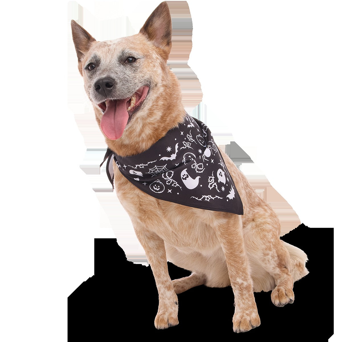 Boo Dog Bandana