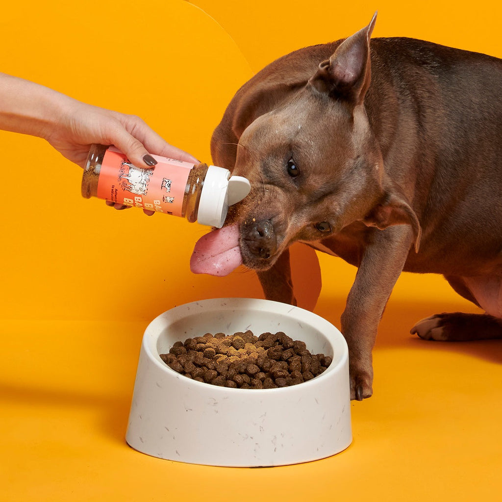 Bada Bing Bada Beef Dog Food Meal Topper, 4.6 oz