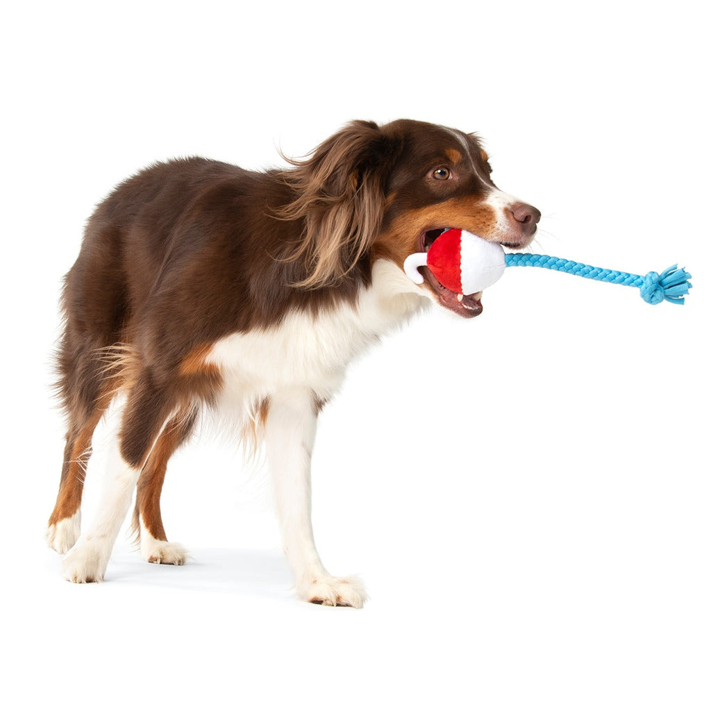 Hook Line and Squeaker Plush Multi-Part + Tug Dog Toy