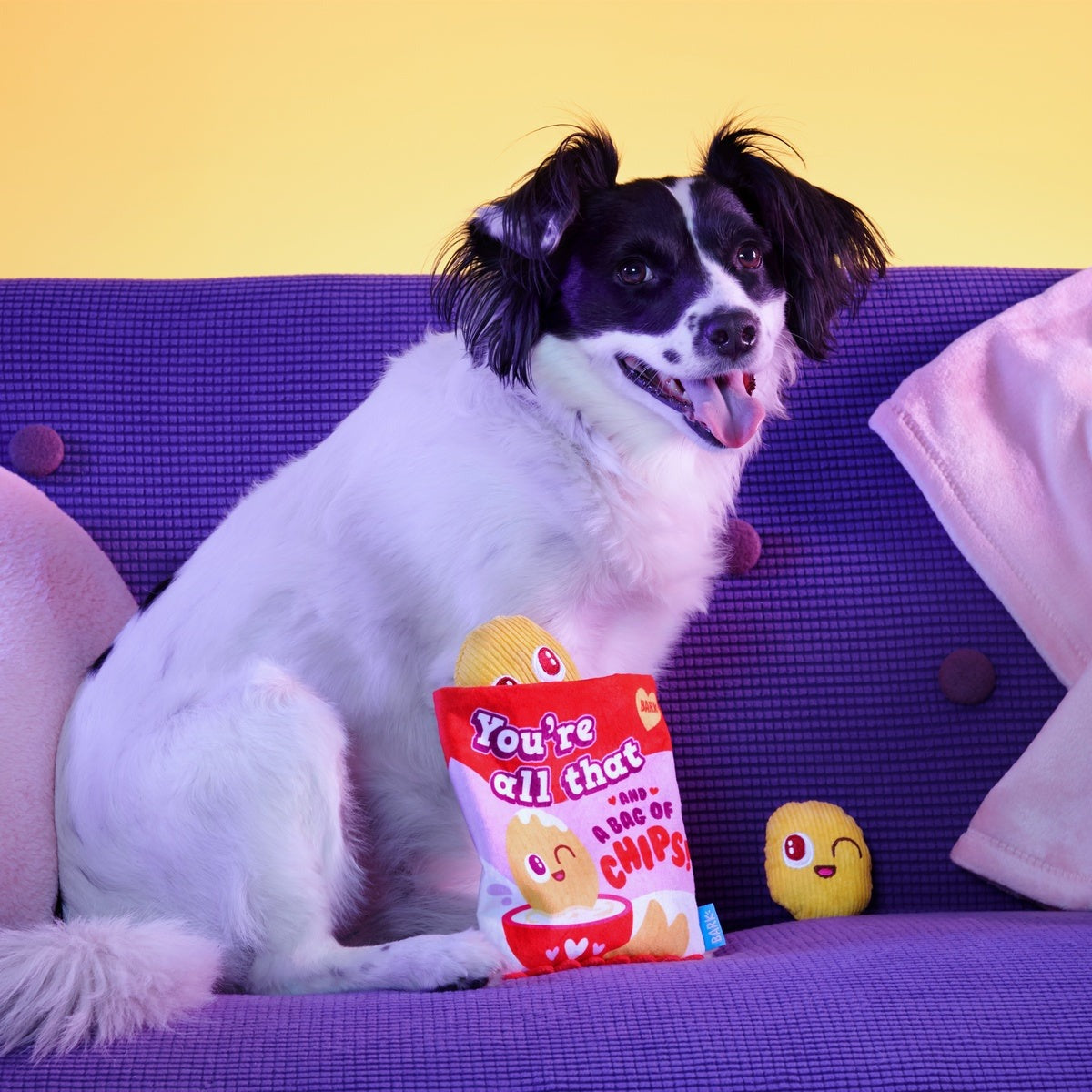 Smitten Chips Plush Enrichment + Multi-Part Dog Toy