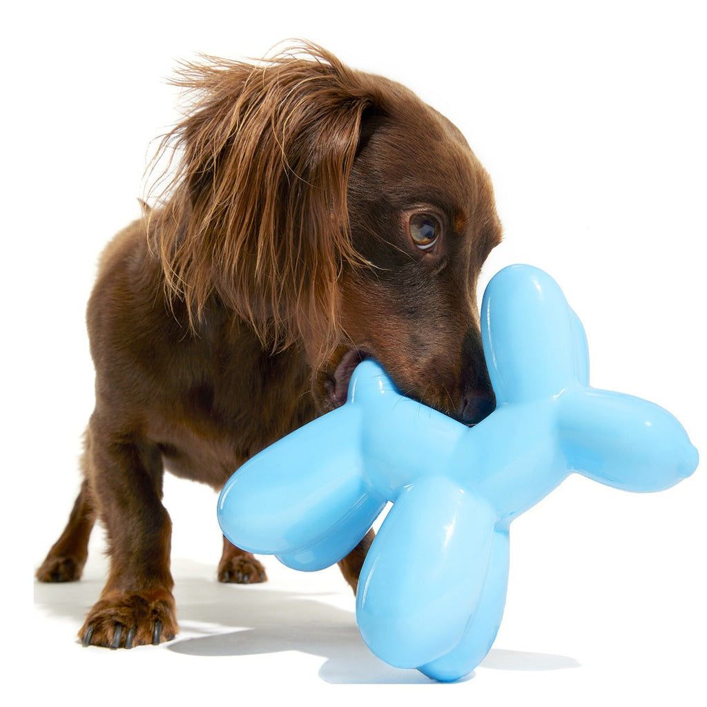 Bob the Balloon Super Chewer Durable Gnaw Dog Toy
