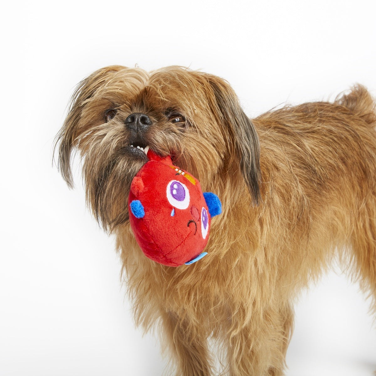 Broken Heart Ted Plush Dog Toy