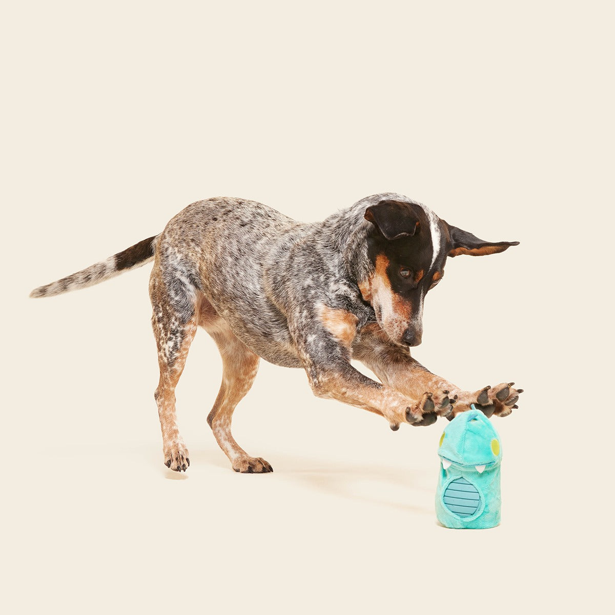Chomposaurus Super Chewer Durable 2-in-1 Dog Toy