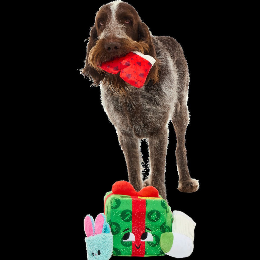 Holly Day's Presents Plush Extra-Large + Multi-Part + Enrichment Dog Toy