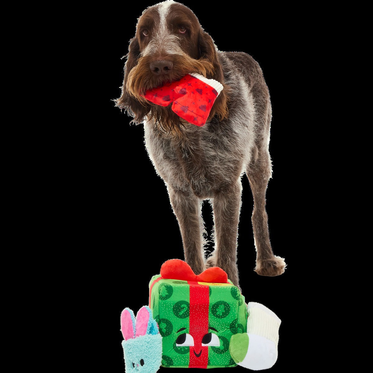 Holly Day's Presents Plush Extra-Large + Multi-Part + Enrichment Dog Toy