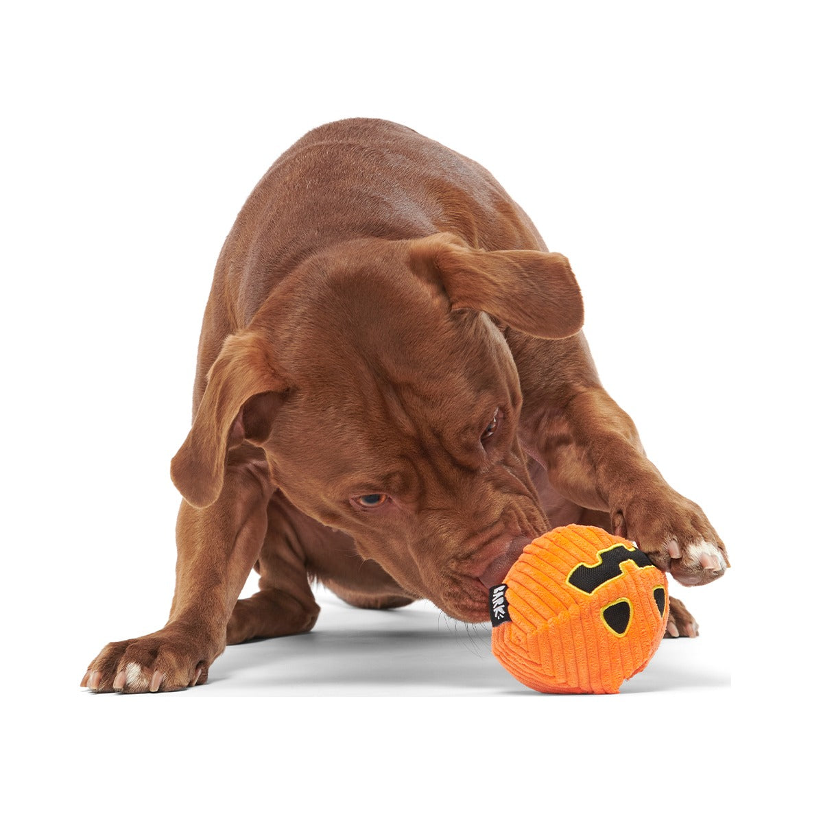 The Grrreat Pumpkin Super Chewer Durable 2-in-1 + Enrichment Dog Toy