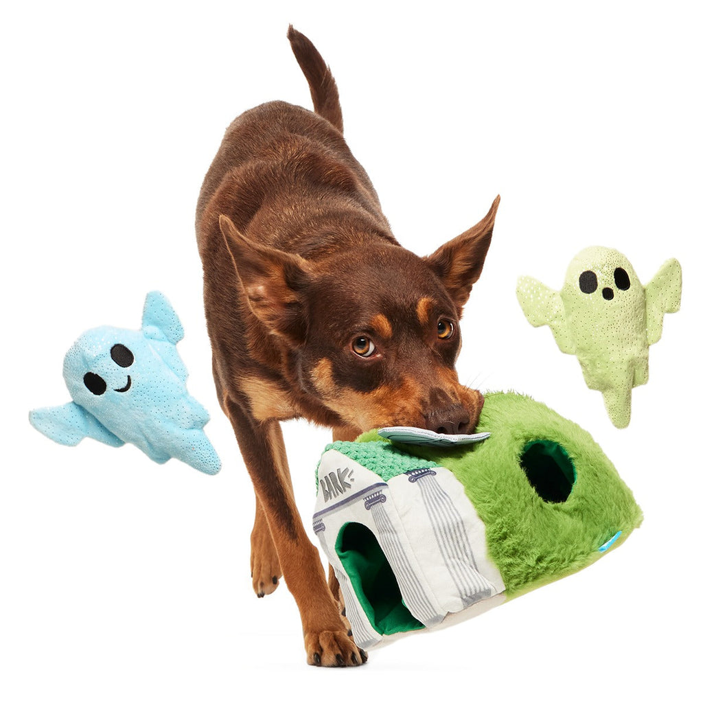 Now You See 'Em Mausoleum Plush Multi-Part + Enrichment Dog Toy