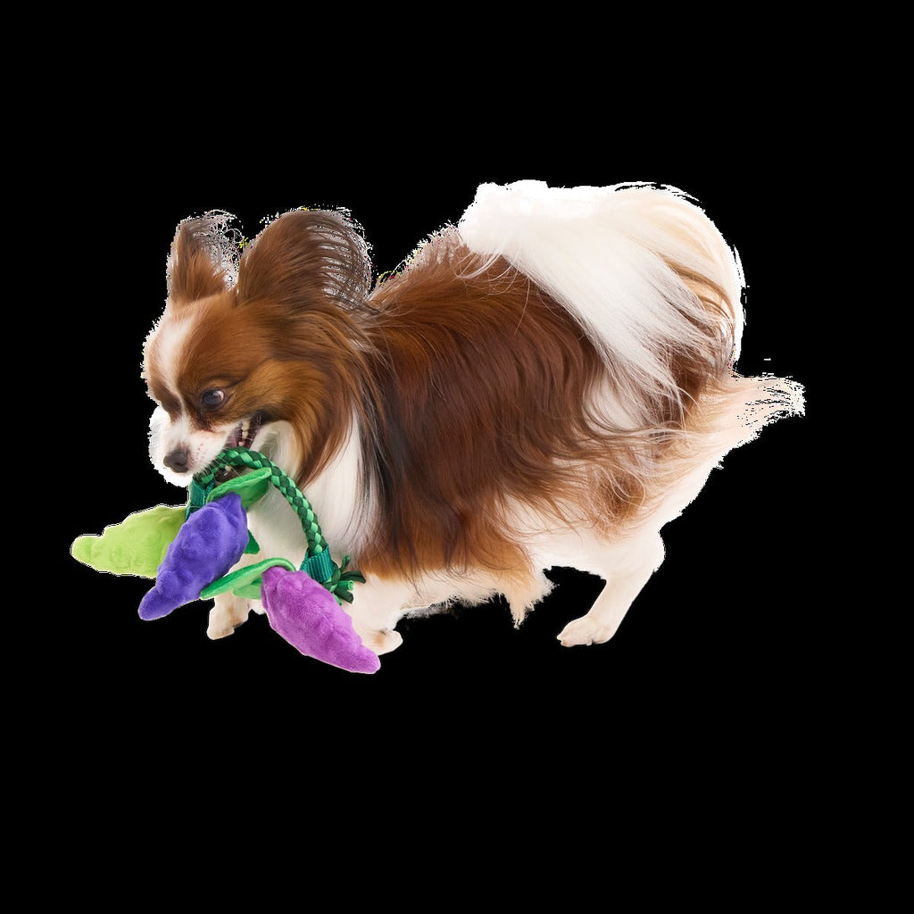 Chew The Grapevine Plush Tug Dog Toy