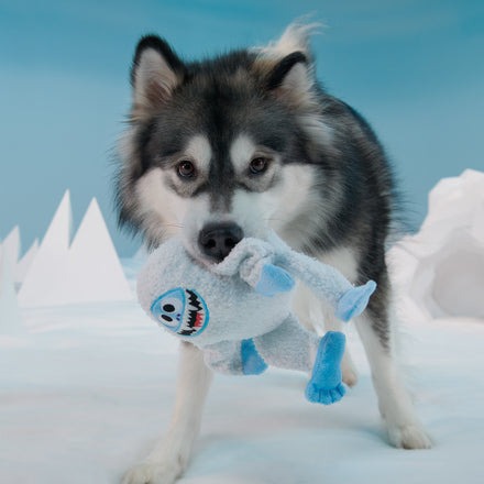 BumbleTM Plush Tug Dog Toy