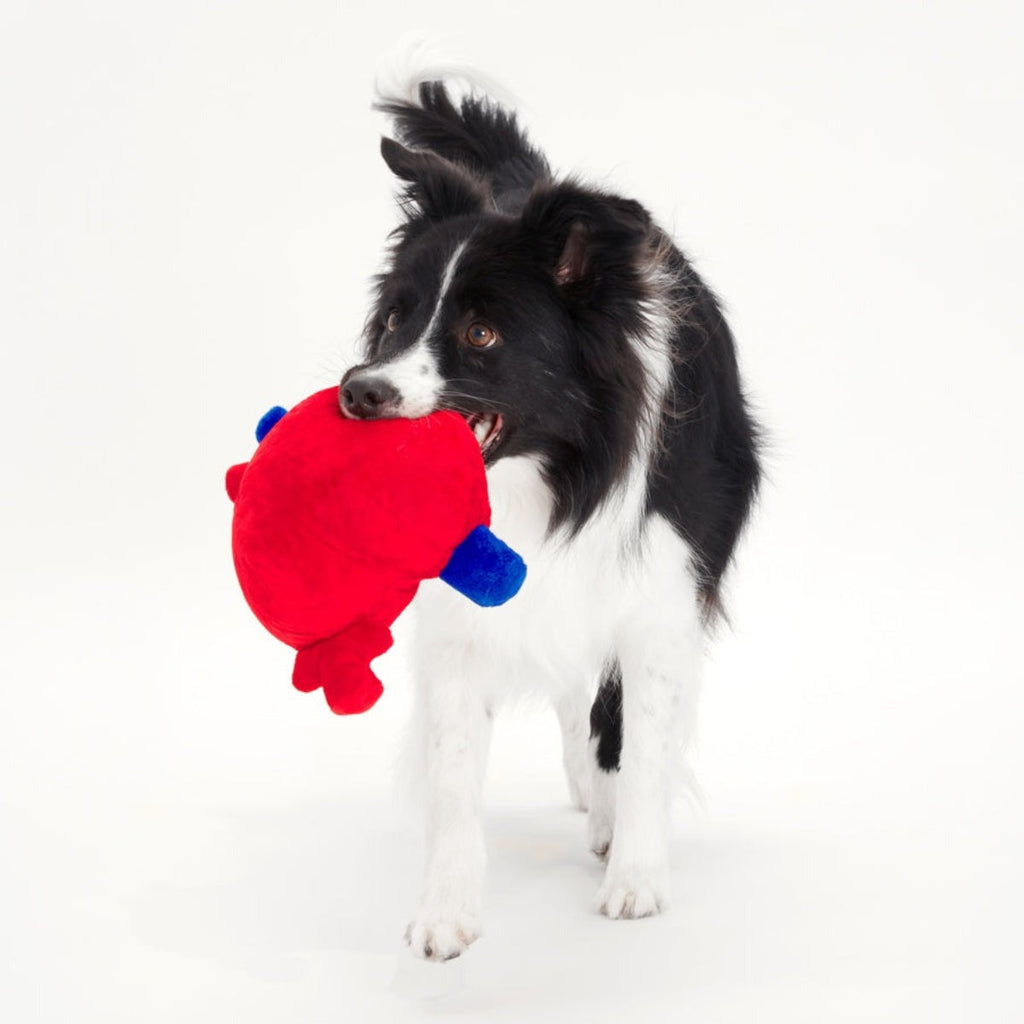 Broken Heart Ted Plush Dog Toy