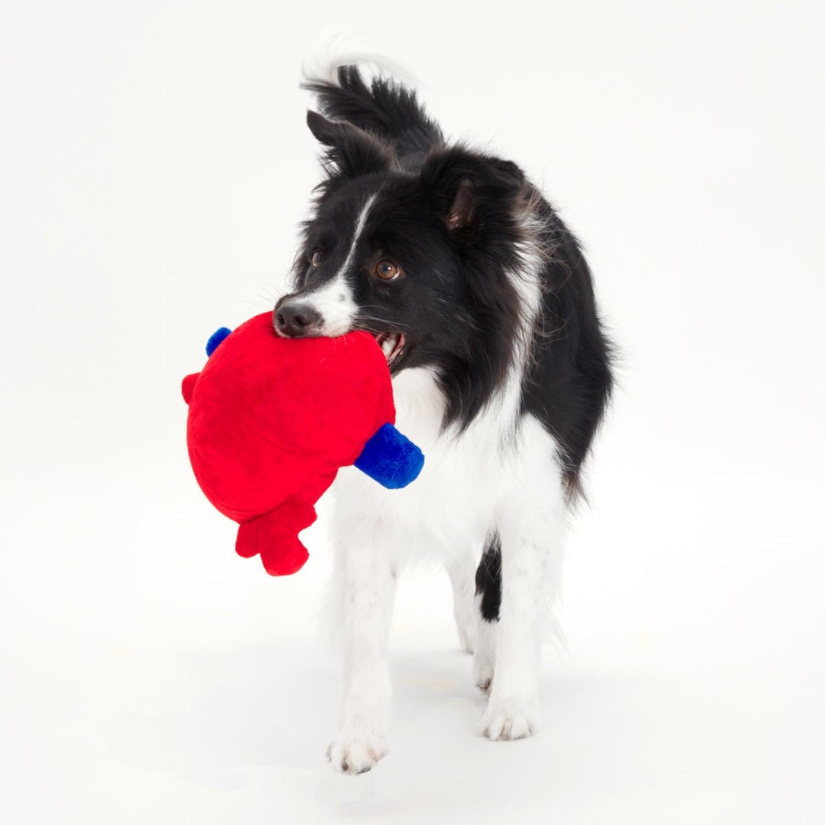 Broken Heart Ted Plush Dog Toy