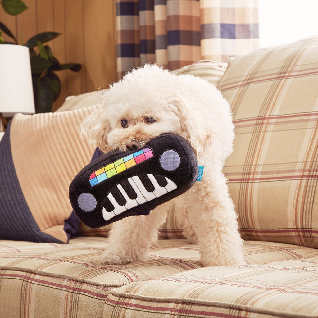 Squeaky Wonder Keyboard Plush Dog Toy