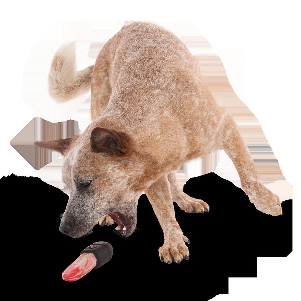 Chewy Chainsaw Super Chewer Durable Gnaw Dog Toy