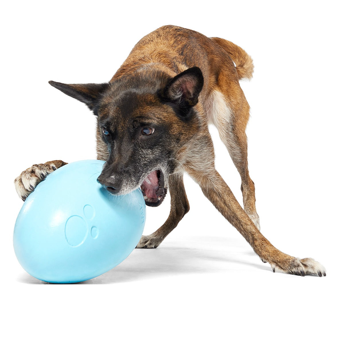 Eggstra Large Easter Egg Super Chewer Durable Extra-Large + Fetch Dog Toy