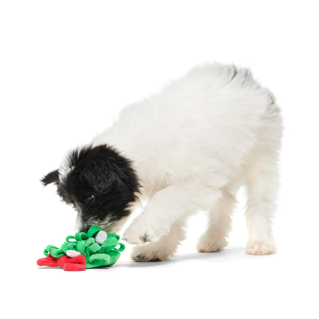 Sniffletoe Tug and Rope Plush Enrichment Dog Toy