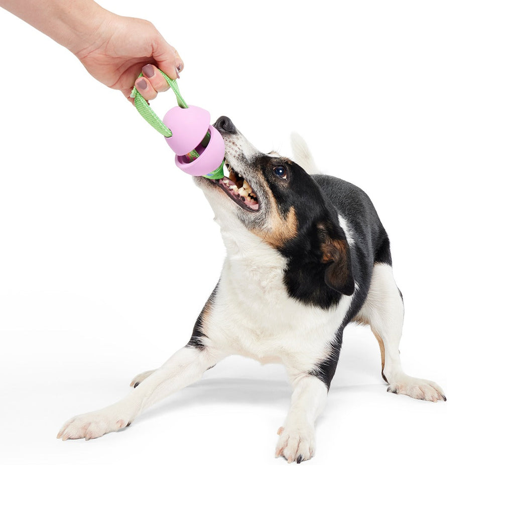 Egg-O-War Tug Super Chewer Durable Tug + Enrichment Dog Toy