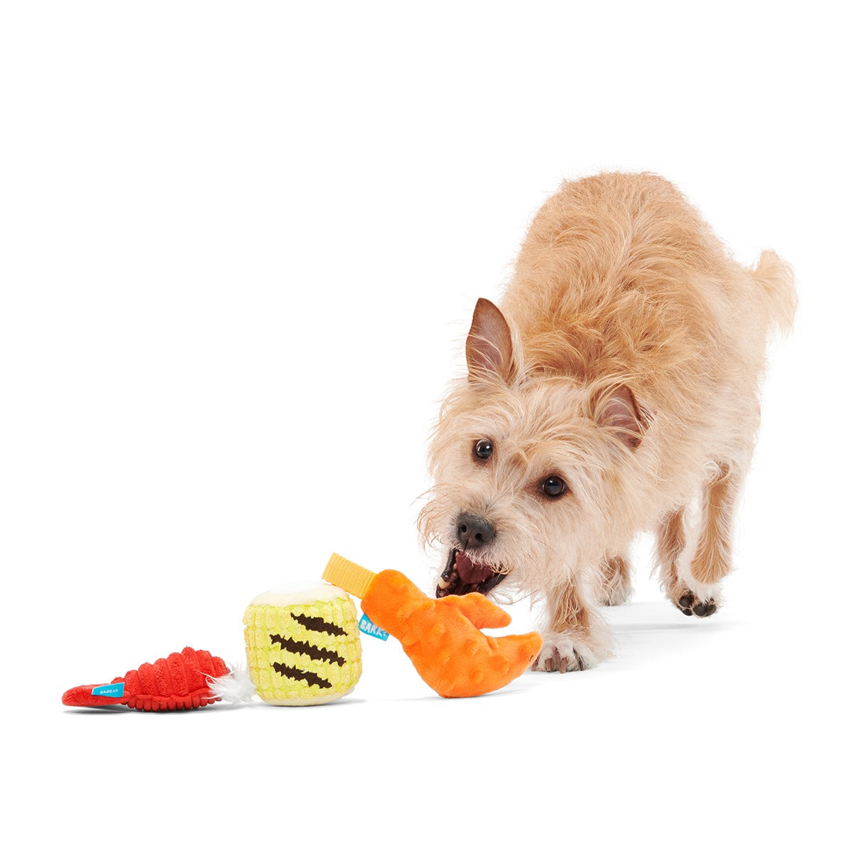 The Maine Event Plush Multi-Part Dog Toy