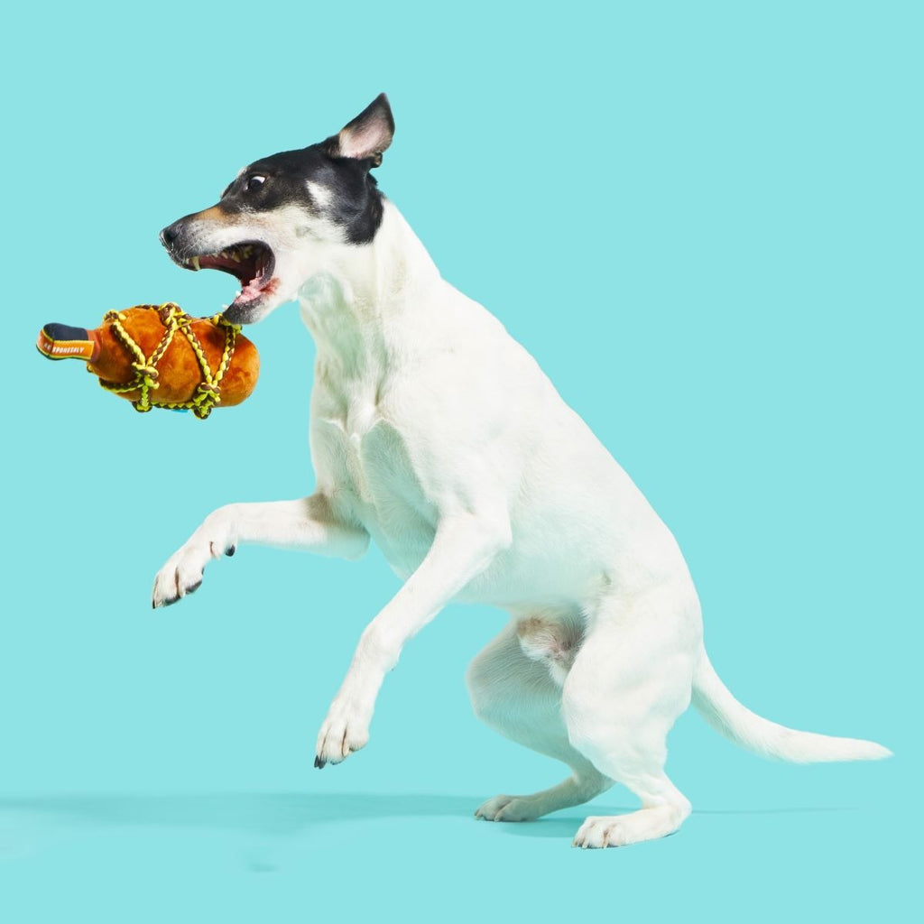 Barkbeard's Rum Plush Tug Dog Toy