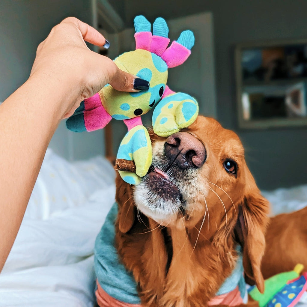 Moe The Mosaic Crab Plush Tug Dog Toy