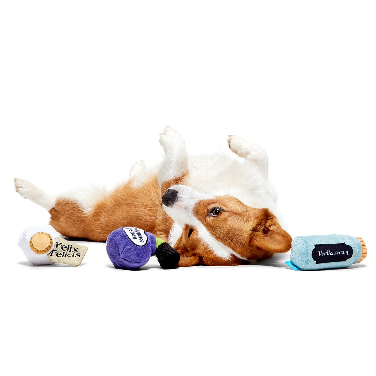Potions Class PackTM Plush Multi-Part Dog Toy