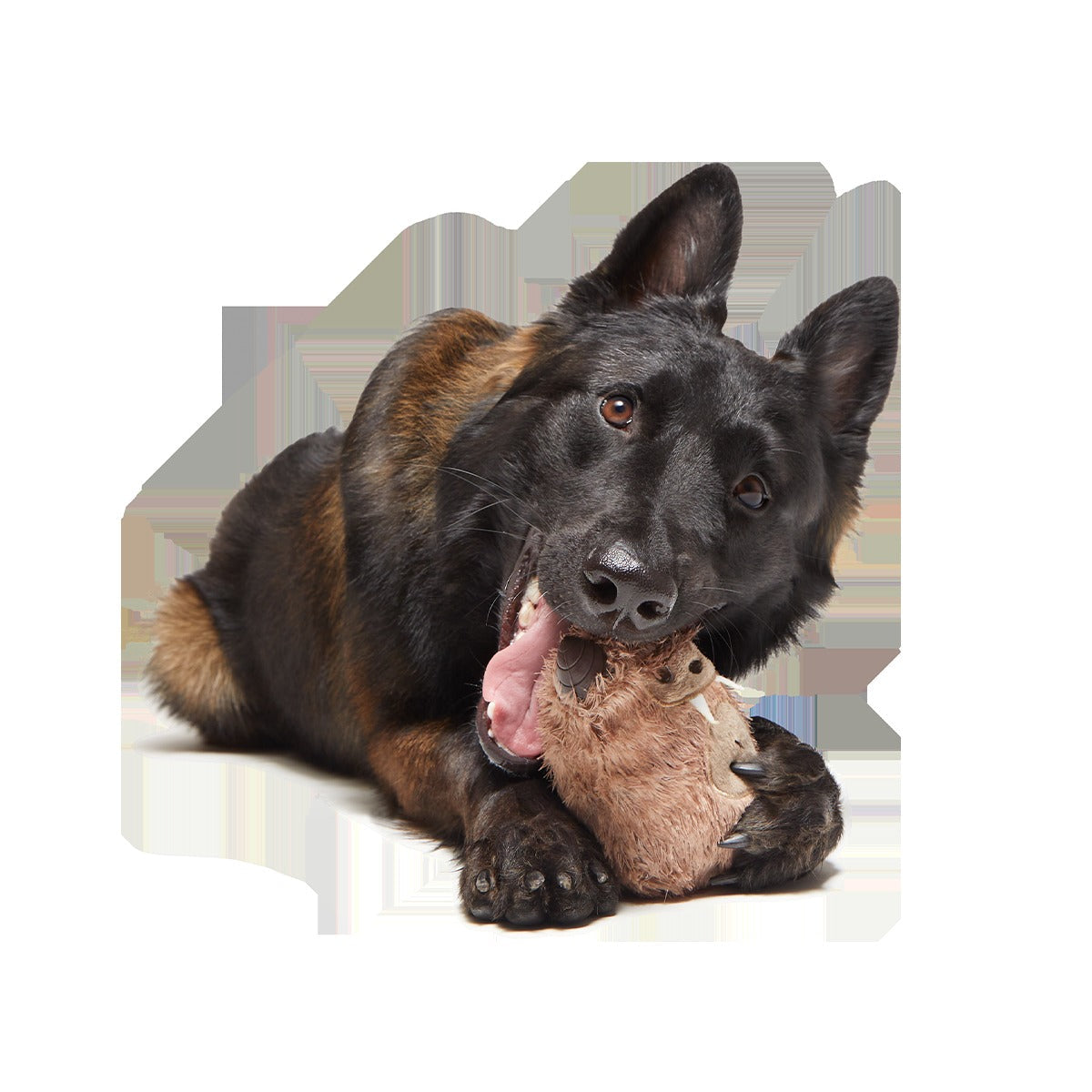 Hairwolf Super Chewer Durable 2-in-1 + Enrichment Dog Toy