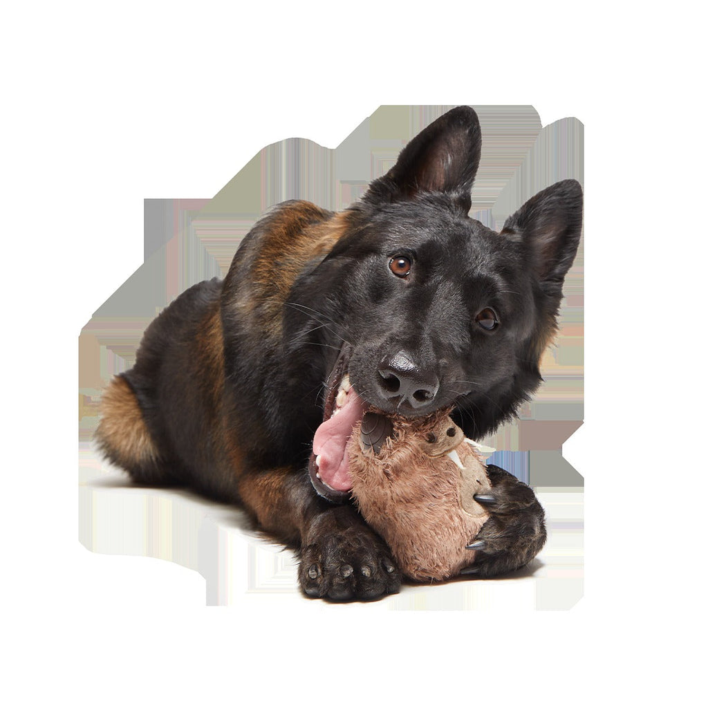 Hairwolf Super Chewer Durable 2-in-1 + Enrichment Dog Toy