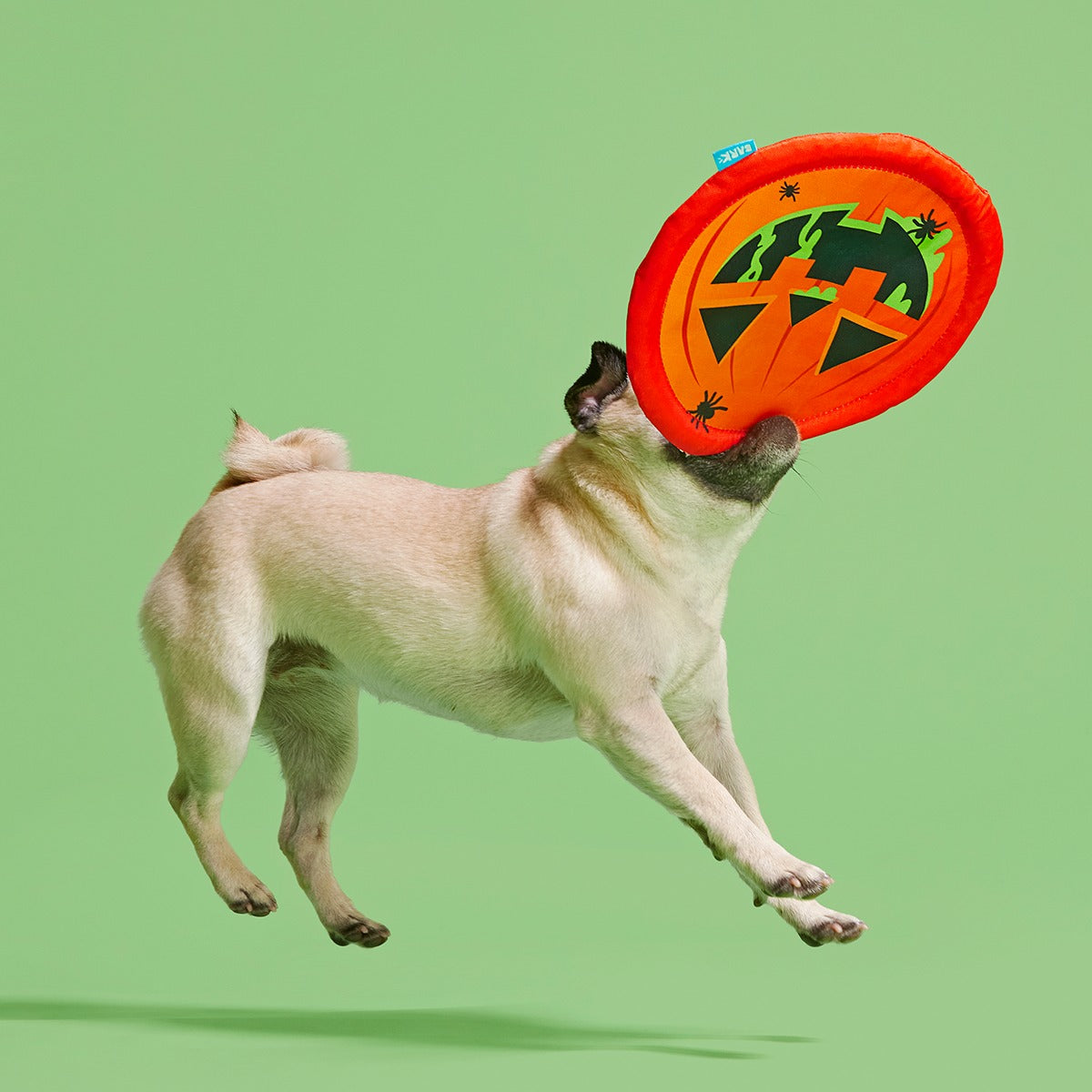Jack-Throw-Lantern Plush Fetch Dog Toy