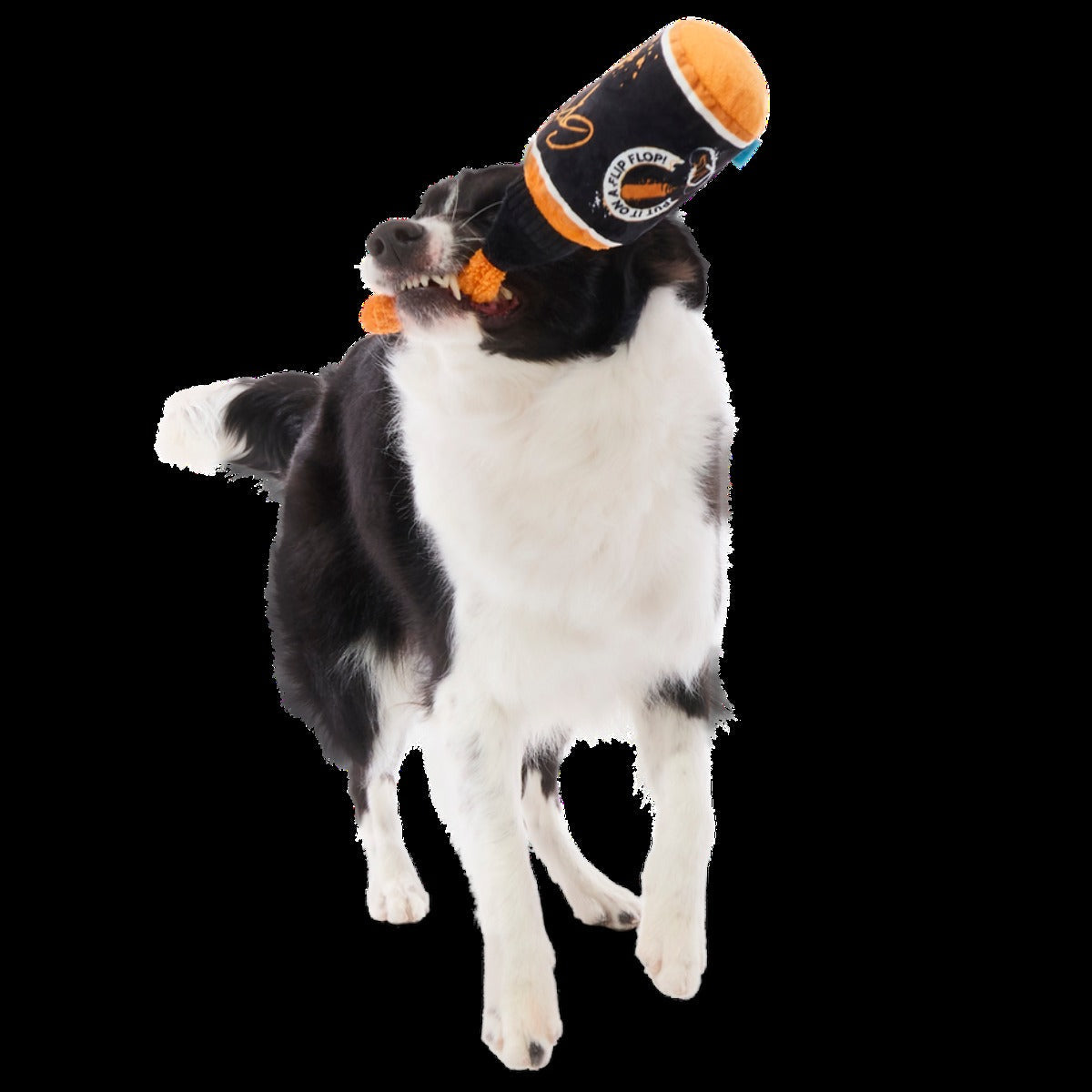 Famous Doggy Sauce Plush Tug Dog Toy