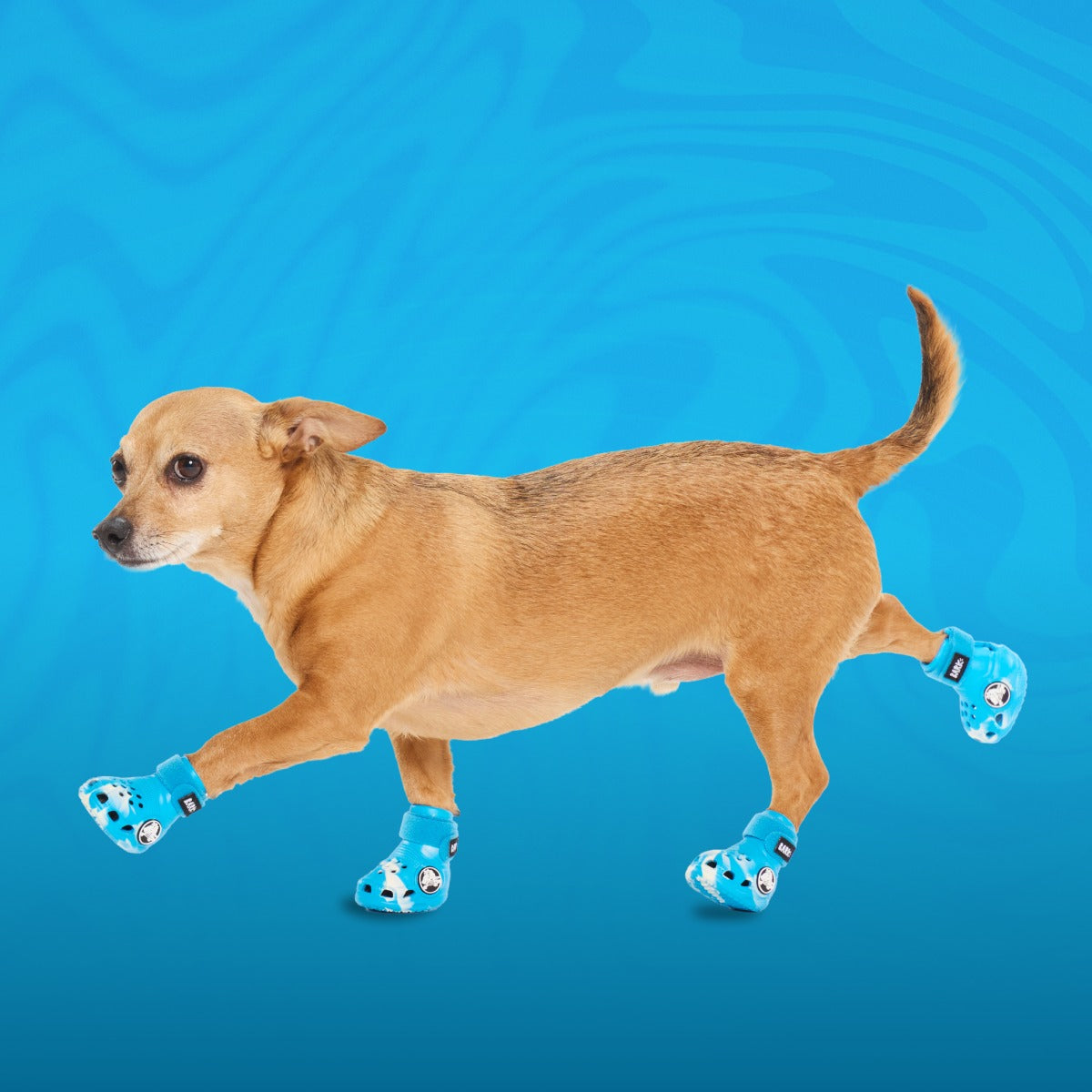 CrocsTM Shoes For Dogs