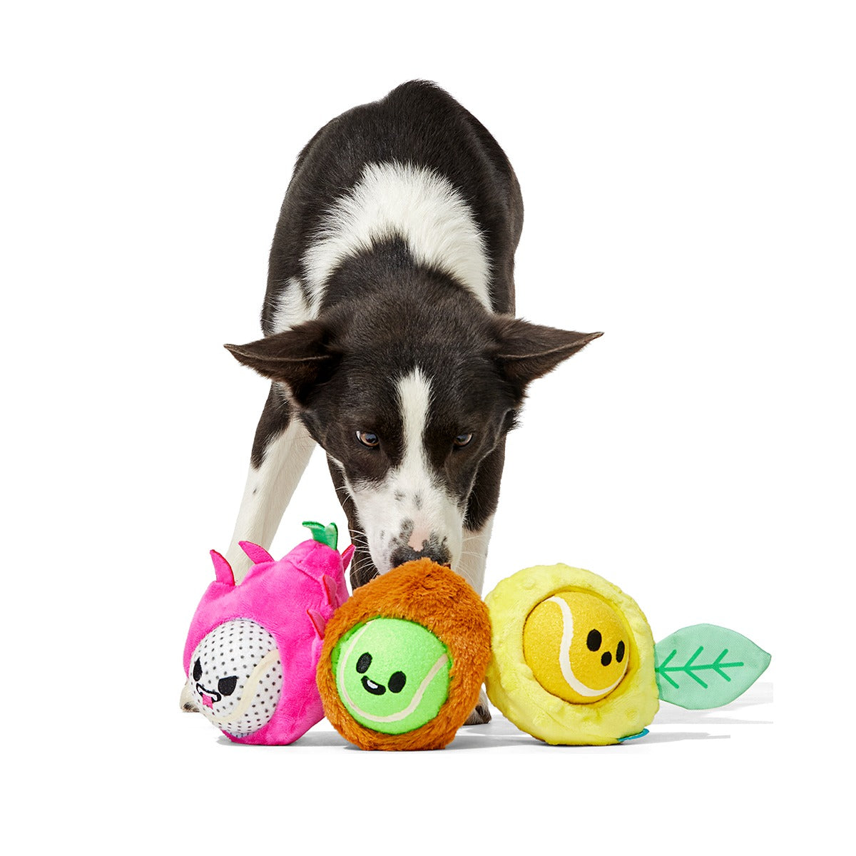 Fruity Cutie Tropical Trio Plush Multi-Part + Fetch Dog Toy