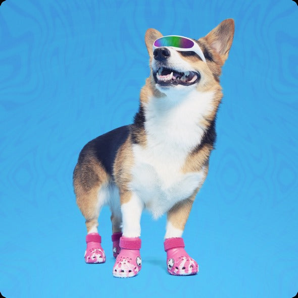 CrocsTM Shoes For Dogs