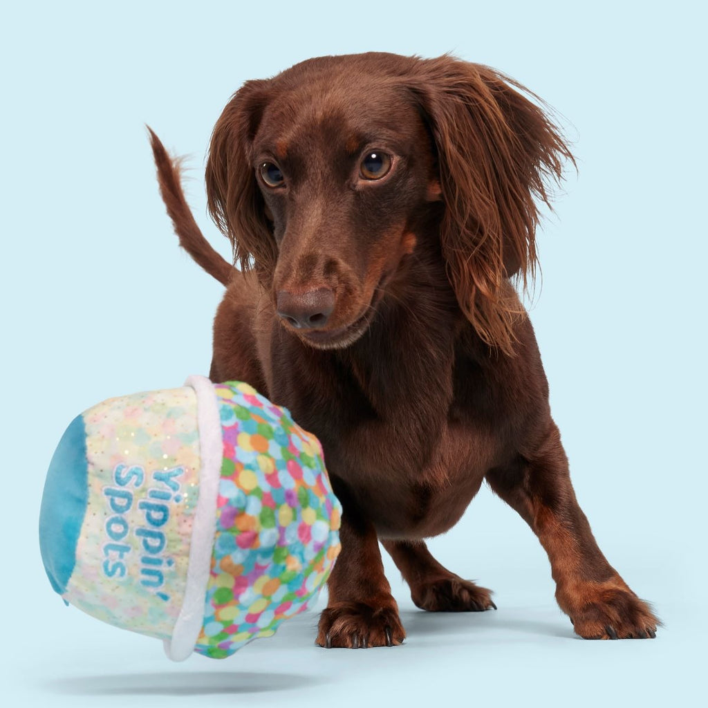 Yippin' Spots Ice Cream Plush Fetch Dog Toy