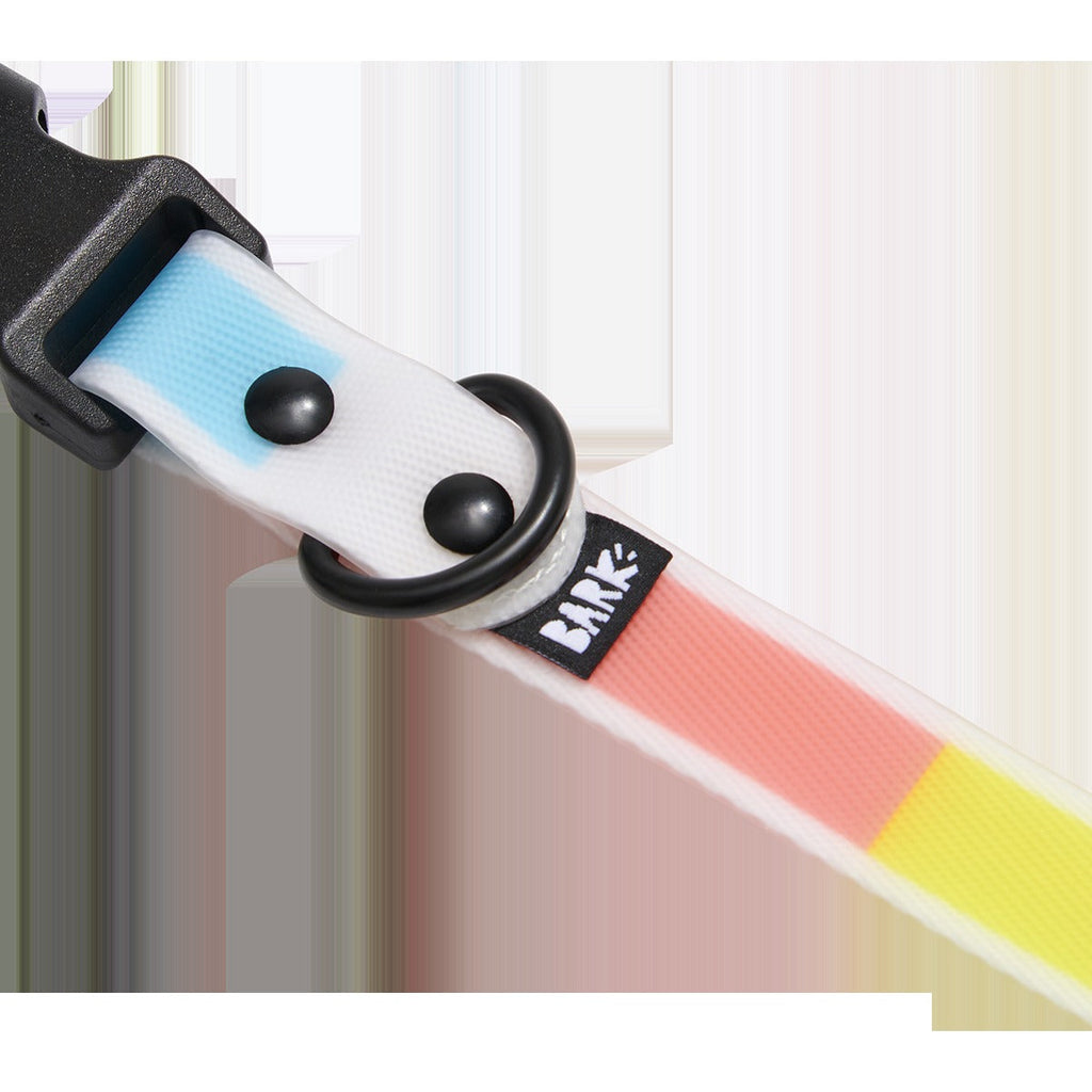 Pride Dog Walking Gear Bundle