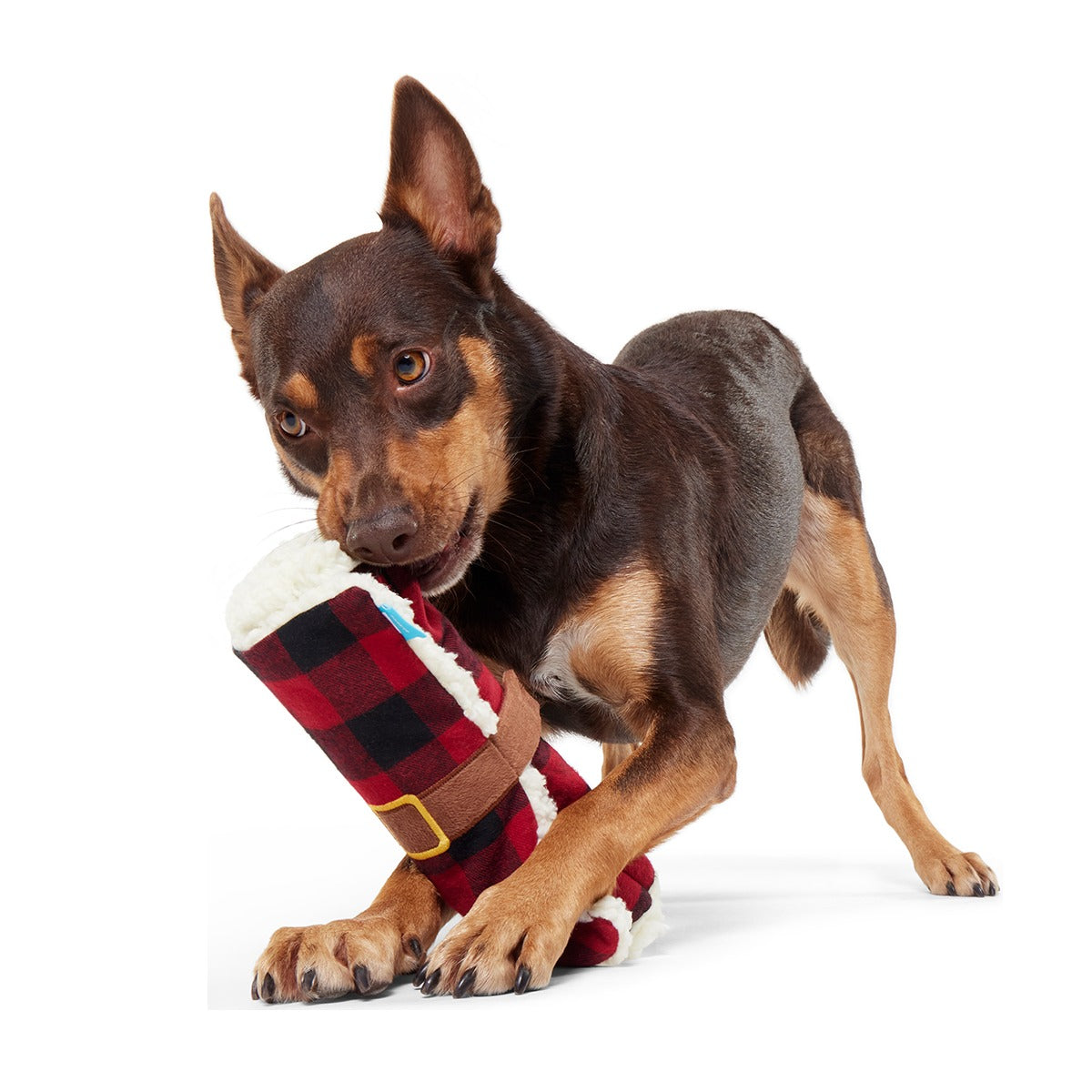 Blanket + Chompfire Bundle Super Chewer Durable Gnaw + Enrichment Dog Toy