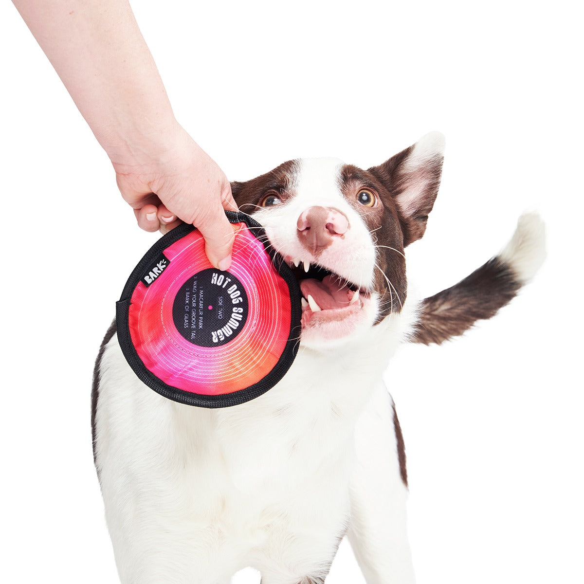Disco Doggo Disc Super Chewer Durable Fetch Dog Toy