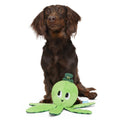 Odd McOllie Plush Tug Dog Toy