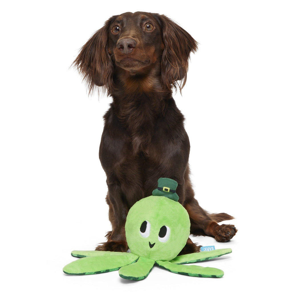 Odd McOllie Plush Tug Dog Toy